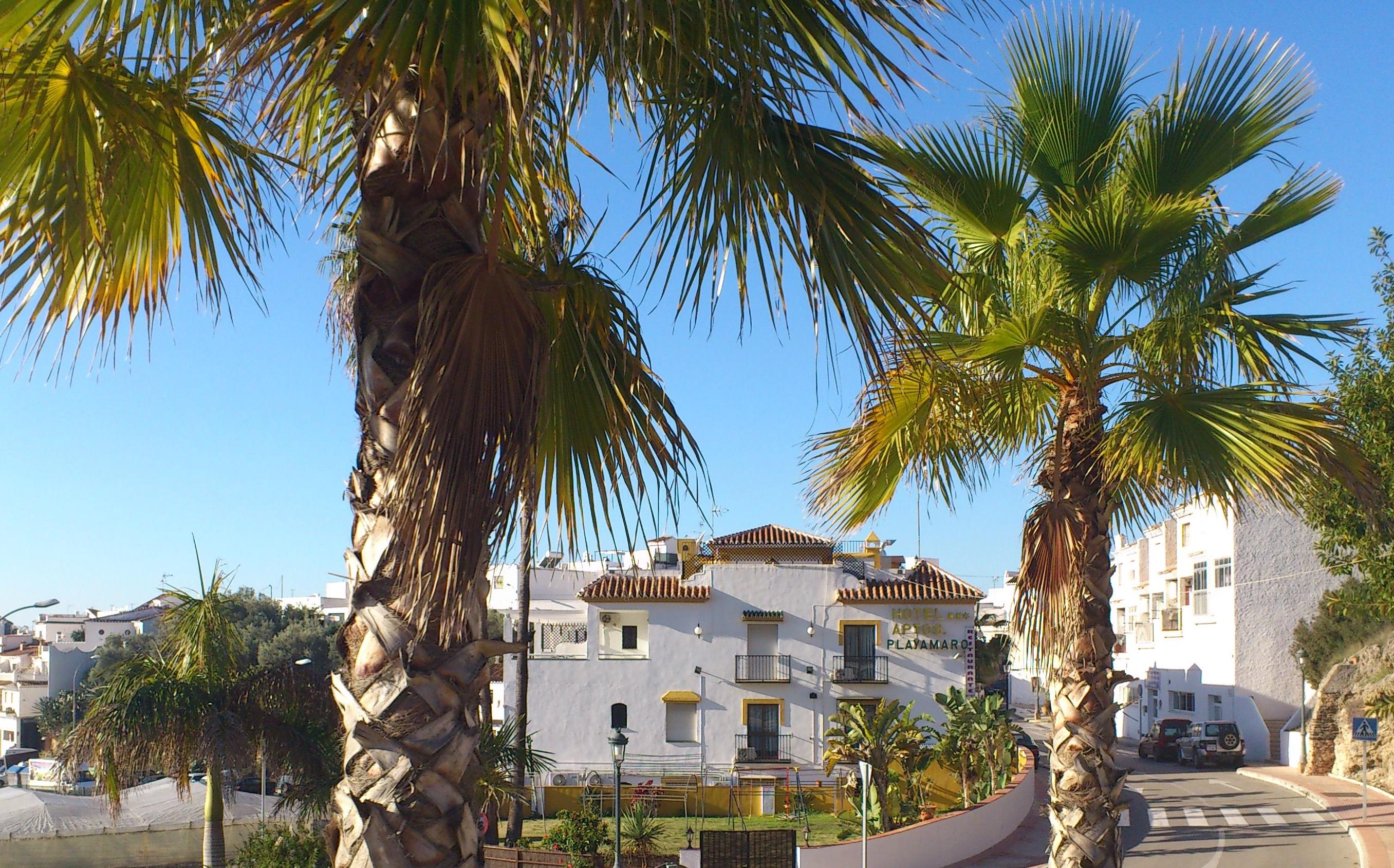 Apartamentos Playamaro Exterior photo